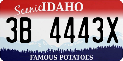 ID license plate 3B4443X
