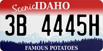 ID license plate 3B4445H