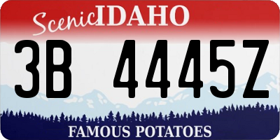 ID license plate 3B4445Z