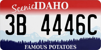 ID license plate 3B4446C