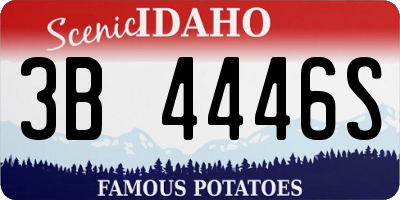 ID license plate 3B4446S