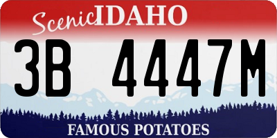 ID license plate 3B4447M