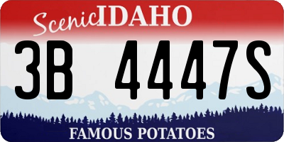ID license plate 3B4447S