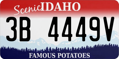 ID license plate 3B4449V