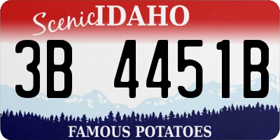 ID license plate 3B4451B