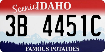 ID license plate 3B4451C
