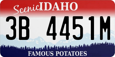ID license plate 3B4451M