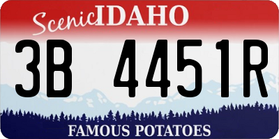 ID license plate 3B4451R