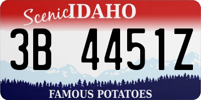 ID license plate 3B4451Z
