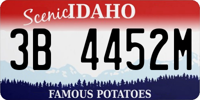ID license plate 3B4452M