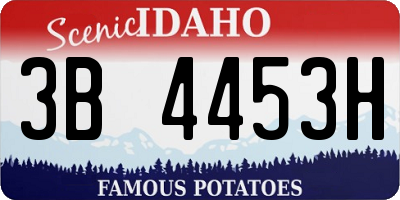 ID license plate 3B4453H