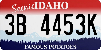 ID license plate 3B4453K