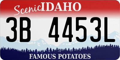 ID license plate 3B4453L