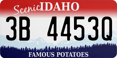 ID license plate 3B4453Q
