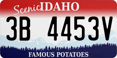 ID license plate 3B4453V