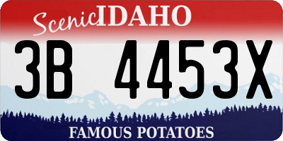 ID license plate 3B4453X