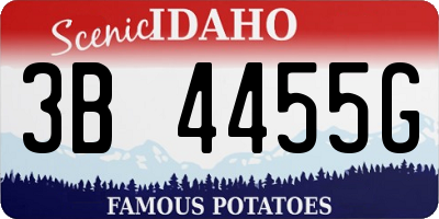 ID license plate 3B4455G
