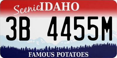 ID license plate 3B4455M