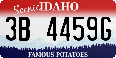 ID license plate 3B4459G