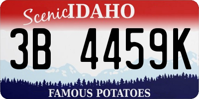 ID license plate 3B4459K