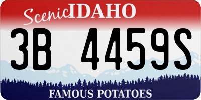 ID license plate 3B4459S