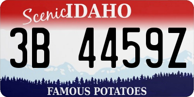 ID license plate 3B4459Z