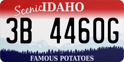 ID license plate 3B4460G