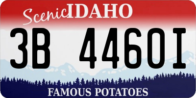 ID license plate 3B4460I