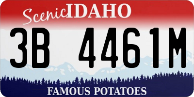 ID license plate 3B4461M