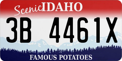 ID license plate 3B4461X