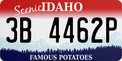 ID license plate 3B4462P