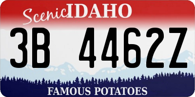 ID license plate 3B4462Z
