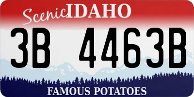 ID license plate 3B4463B