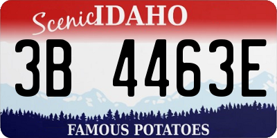 ID license plate 3B4463E