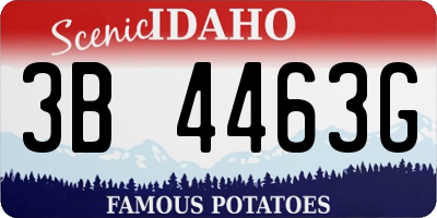 ID license plate 3B4463G