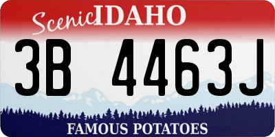 ID license plate 3B4463J