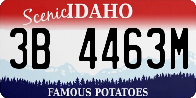 ID license plate 3B4463M