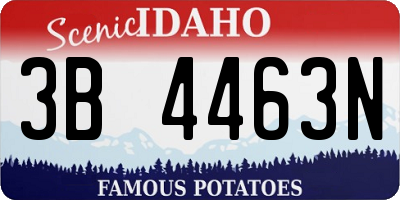 ID license plate 3B4463N