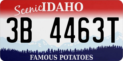 ID license plate 3B4463T