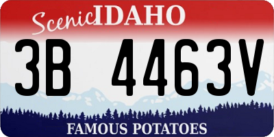 ID license plate 3B4463V