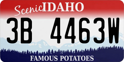 ID license plate 3B4463W