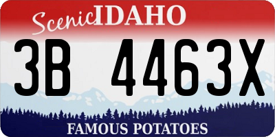 ID license plate 3B4463X