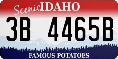 ID license plate 3B4465B