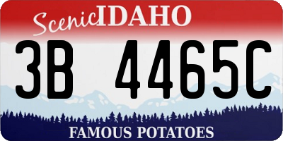 ID license plate 3B4465C