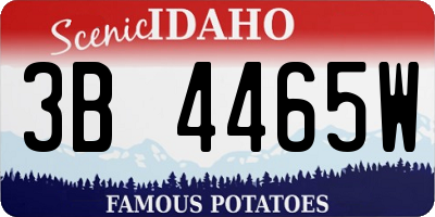 ID license plate 3B4465W