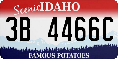 ID license plate 3B4466C