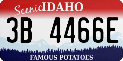 ID license plate 3B4466E