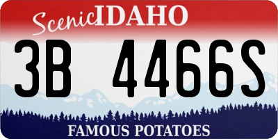 ID license plate 3B4466S