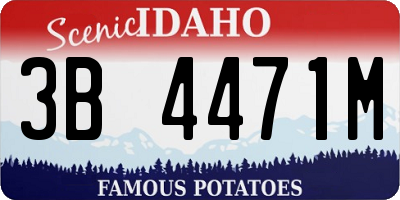 ID license plate 3B4471M