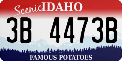ID license plate 3B4473B
